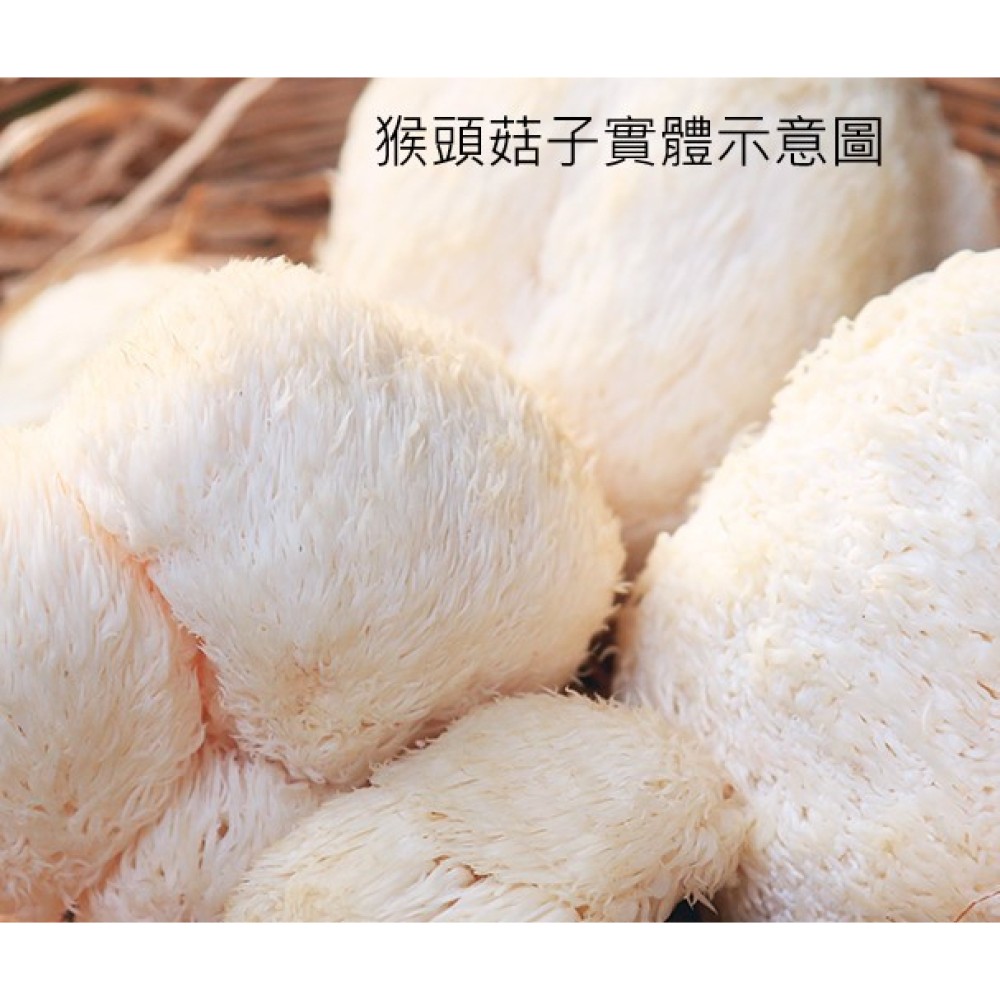 猴頭菇（穀物乾式發酵）菌絲體粉末