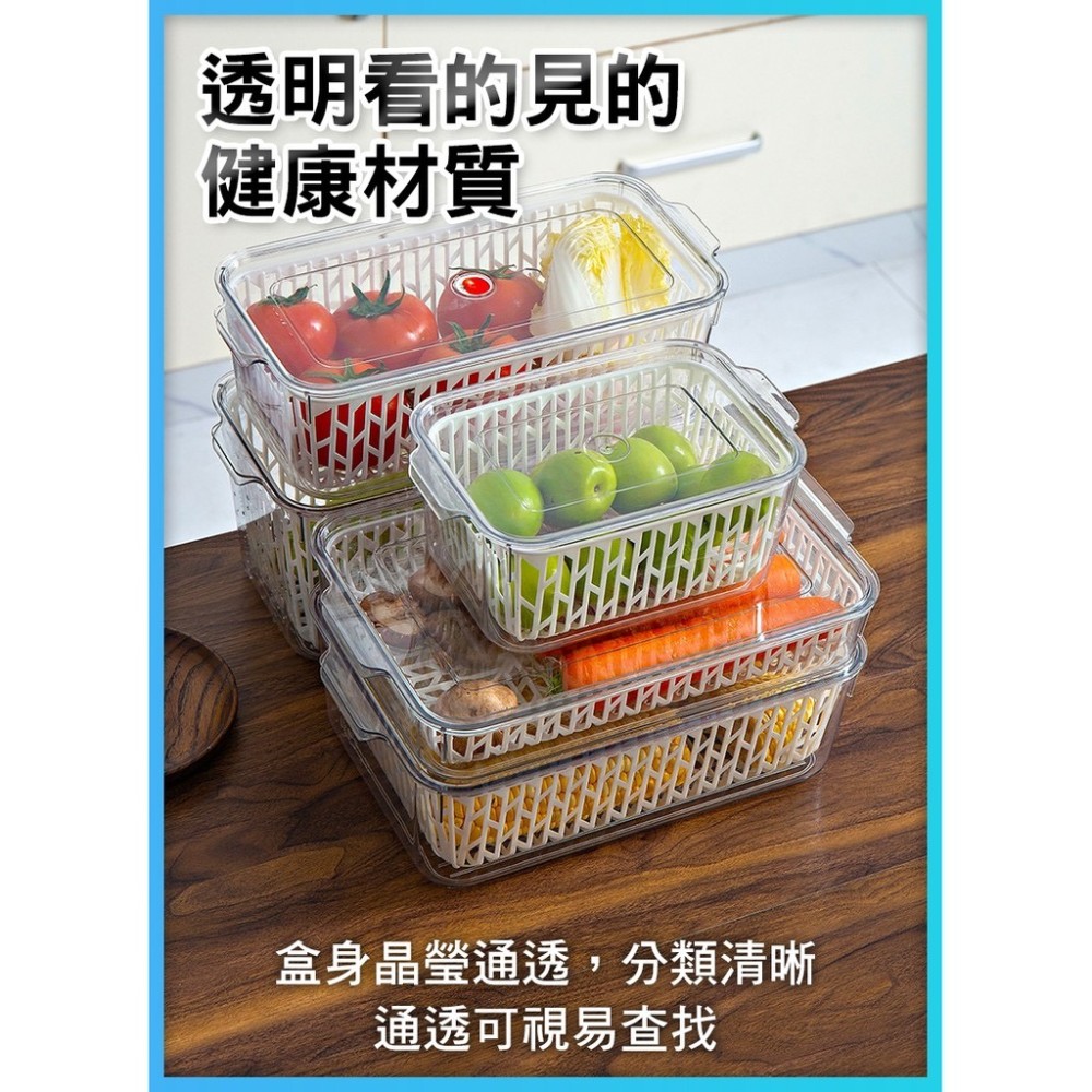 瀝水保鮮盒 保鮮盒 冰箱收納盒 透明保鮮盒 冷凍保鮮盒 冰箱收納 水果盒 水果籃