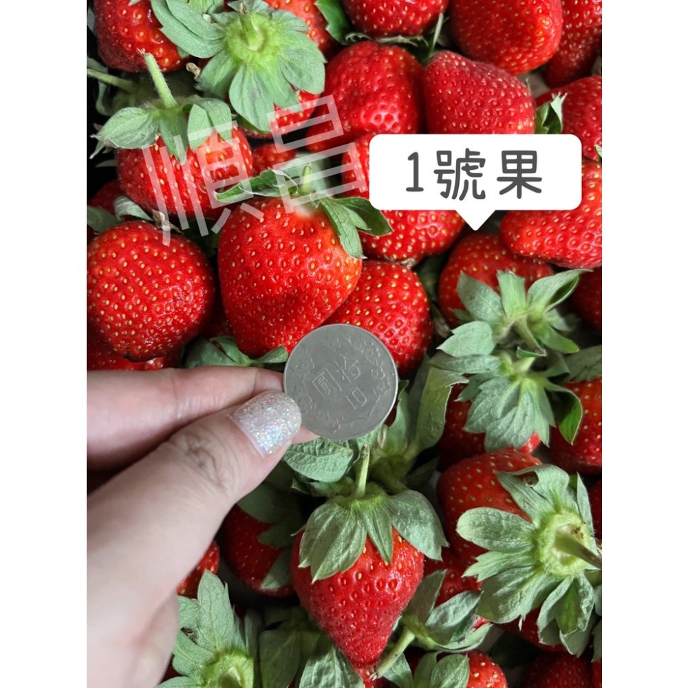 【限定高雄自取】【尚易購】好市多合作新鮮草莓大降價 限時搶購 僅此一批